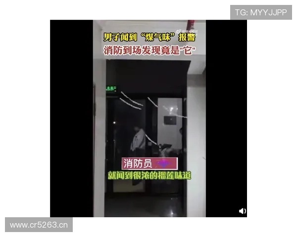 王昶家冰箱里塞满能量胶，邻居以为他开健身房